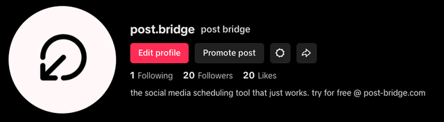Good bio example